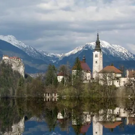 Clay With View Apartment Bled